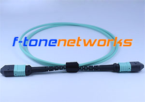 MTP, OM3, 12Core Fiber Patch Cord